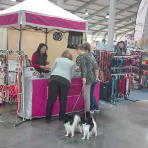 CACIB Prague Expo Dog 2017 - 1